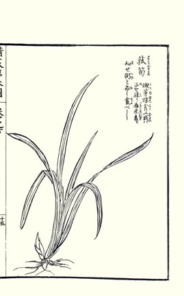 photo71.jpg