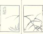 photo72_small.jpg