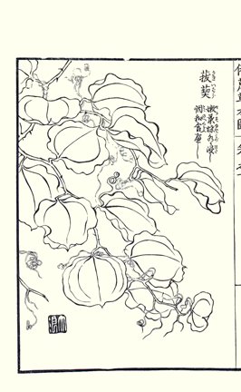 photo73.jpg