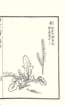 photo74_small.jpg