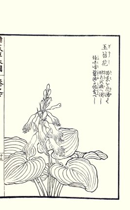 photo78.jpg