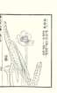 photo83_small.jpg