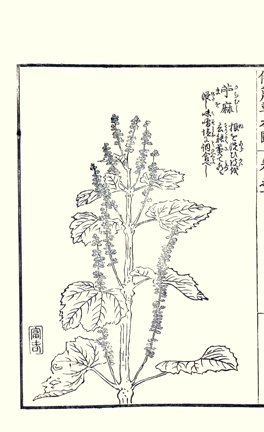 photo84.jpg