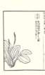 photo86_small.jpg