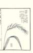 photo87_small.jpg