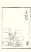 photo8_small.jpg