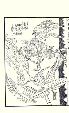 photo94.jpg