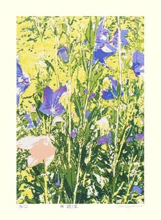 photo31.jpg
