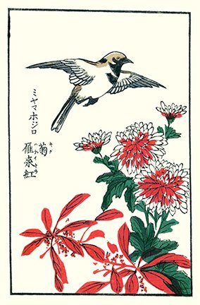 photo10.jpg