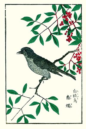 photo15.jpg