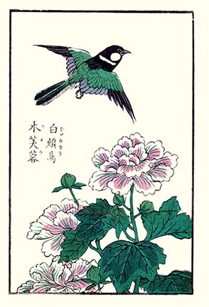 photo20.jpg