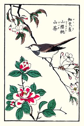 photo3.jpg
