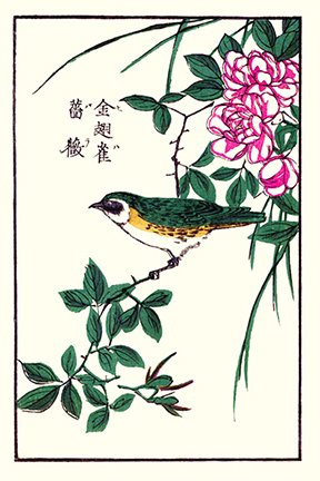 photo5.jpg