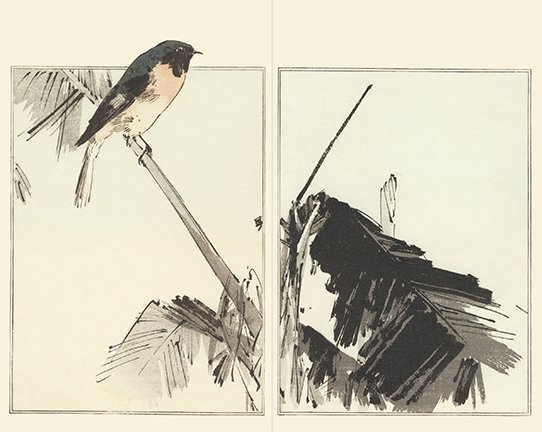 photo16.jpg