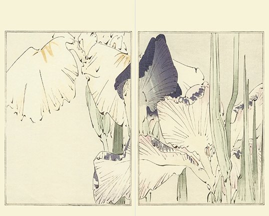 photo17.jpg