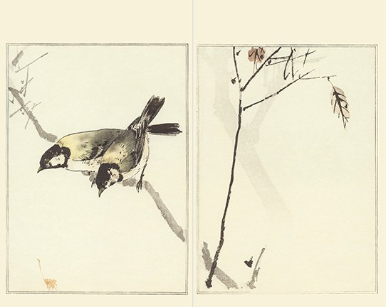 photo21.jpg