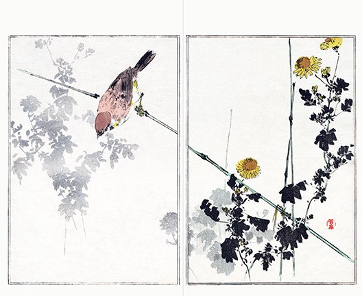 photo16.jpg