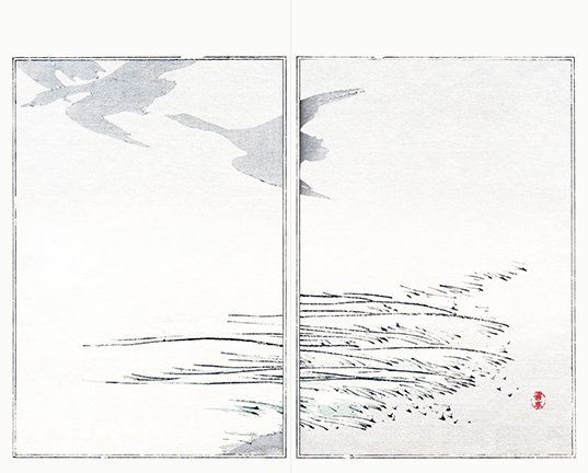 photo19.jpg