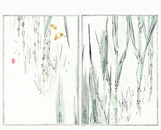 photo28.jpg