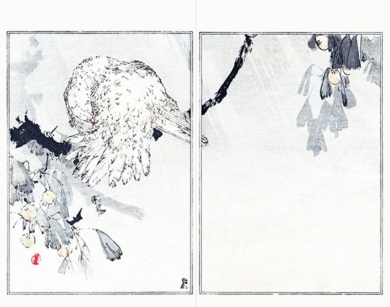 photo50.jpg