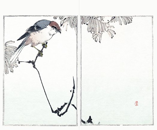 photo18.jpg