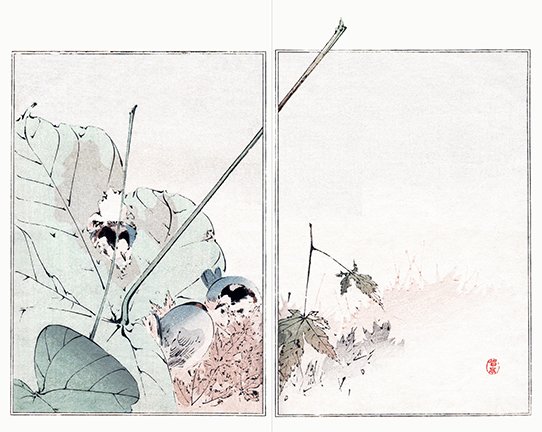 photo21.jpg