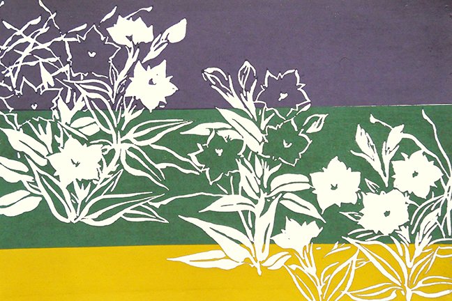 photo17.jpg