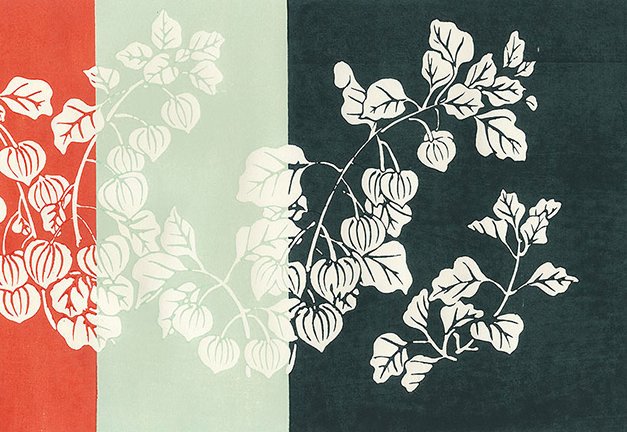 photo18.jpg