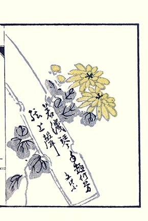 photo.jpg