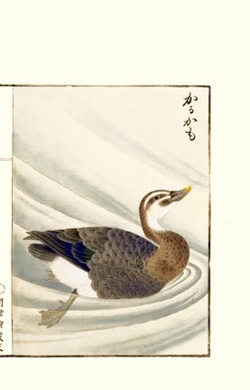 photo13.jpg