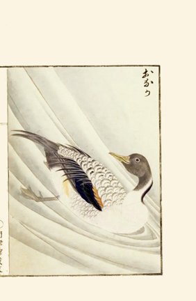 photo14.jpg
