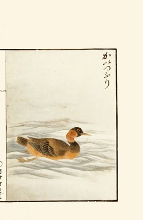 photo20.jpg