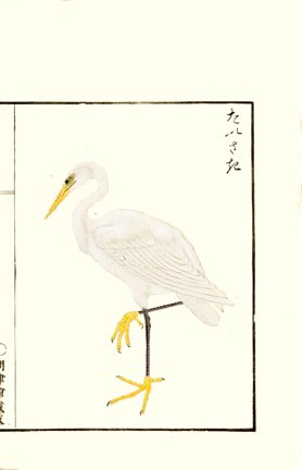 photo27.jpg