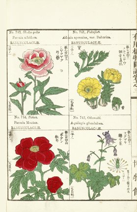photo192.jpg