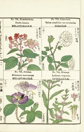 photo205.jpg