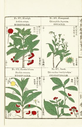 photo224.jpg