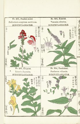 photo230.jpg
