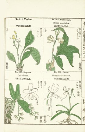 photo236.jpg