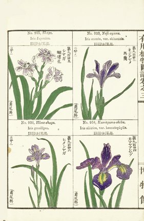 photo240.jpg