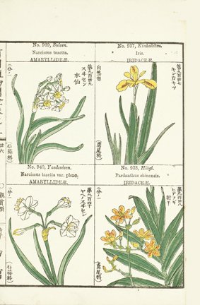 photo241.jpg
