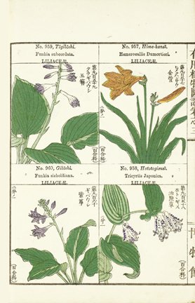 photo246.jpg
