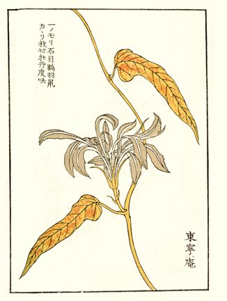 photo10.jpg