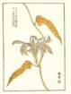 photo10_small.jpg