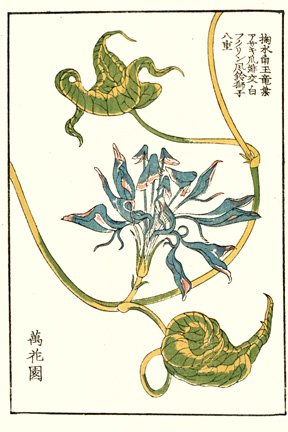 photo11.jpg