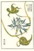 photo11_small.jpg