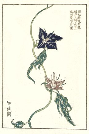 photo13.jpg