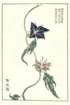 photo13_small.jpg