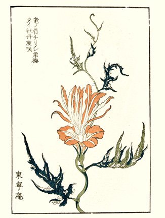 photo16.jpg