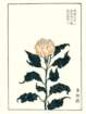 photo17_small.jpg