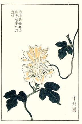 photo18.jpg